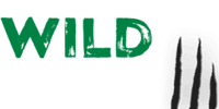 Wild Casino Logo