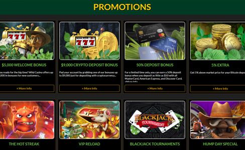 Wild Casino Review – A Full Guide to the Jungle of Online Gaming