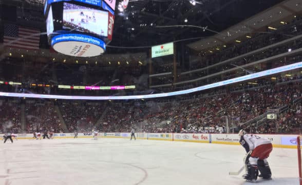 arizona-coyotes-gala-river-home-arena