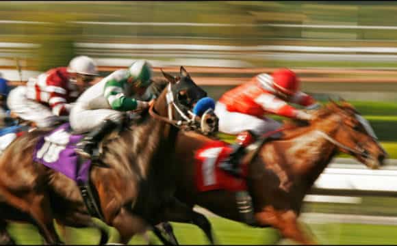 horses-racing-and-the-background-blurred