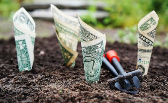 a-bunch-of-dollar-bills-simulating-flowers-planted-in-the-ground-as-a-form-of-investment