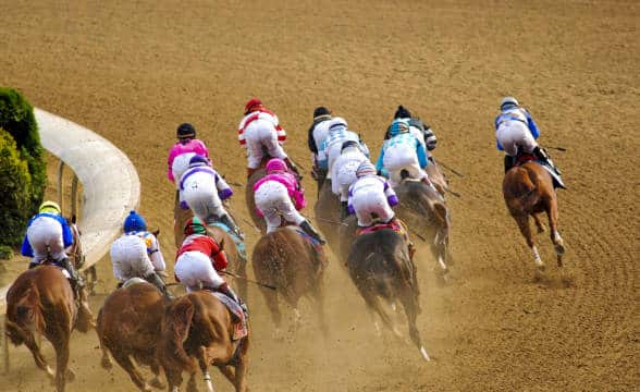 A bunch of jockeys racing seen from the back.