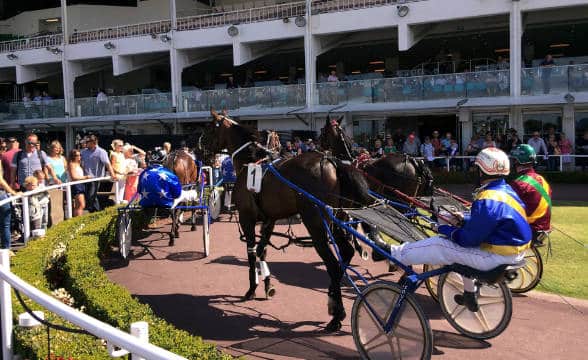 A few jockeys preparing for harness racing in New Zealand.