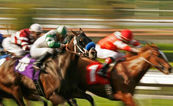 Horse racing jockeys in a blur as they compete.