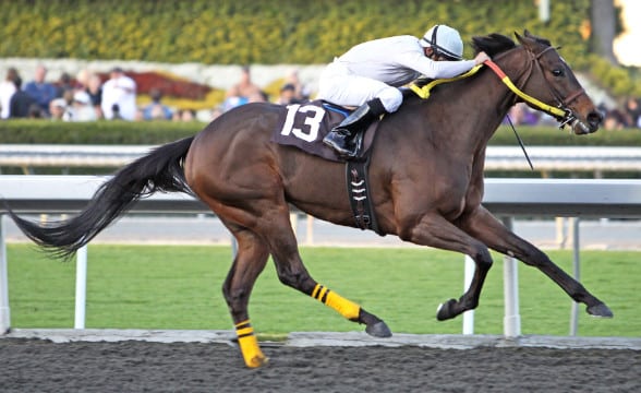 A jockey down the final stretch with his horse.