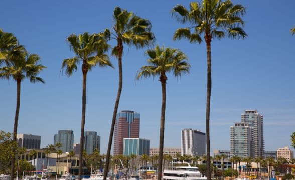 The Skyline in Long Beach, California.