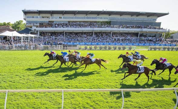 A horse race in progress with the jockeys squatting on their saddles.