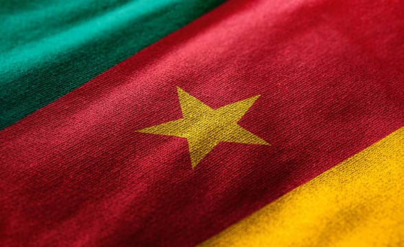 Cameroon's flag