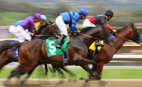 Horse racing in progress with jockeys very close to each other.