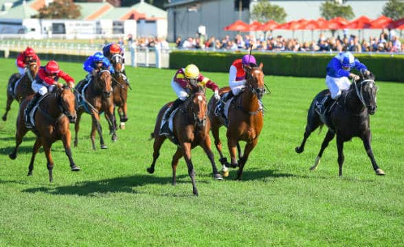 A racing day in Australia with horses racing.