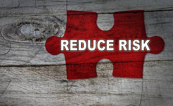 Puzzle piece "Reduce Risk"