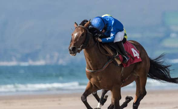 A horse racing on a beach strip.