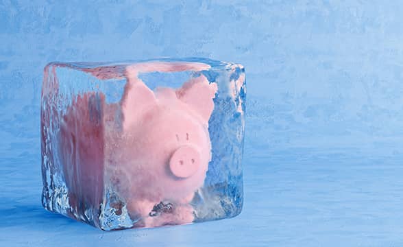 A frozen piggy bank