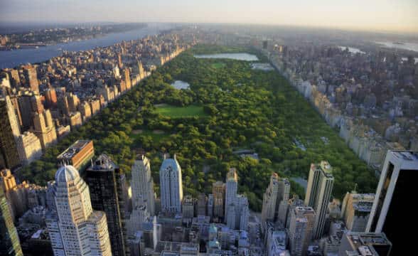 New York Central park in the morning.