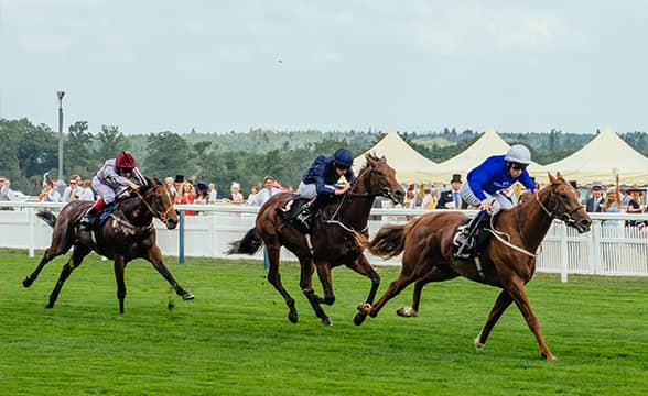 A Royal Ascot photo from 2015's event