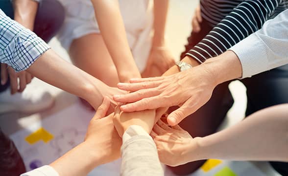 Team members hold hands