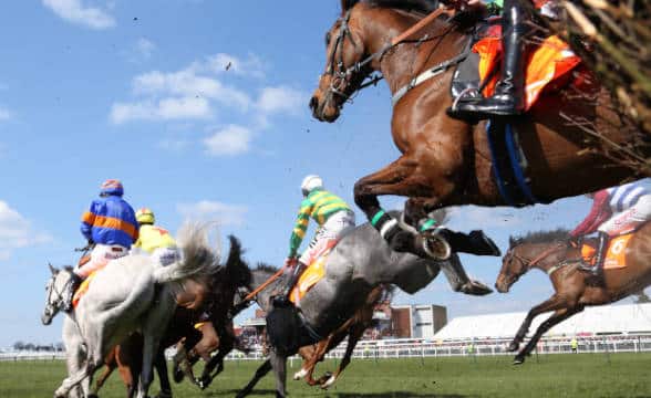 Ayr Cup's horse racing.