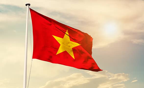 Vietnam's official flag