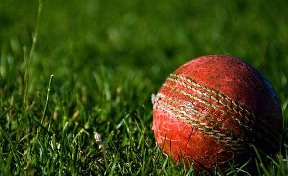 A cricket ball on the grass