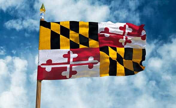 The official flag of the Maryland state