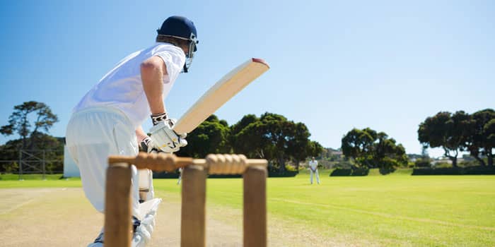 Cricket players play cricket