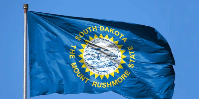 South Dakota's state flag.