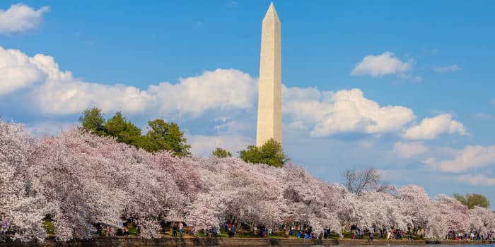 Washington D.C.'s famous monument.