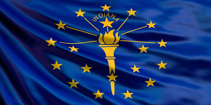 Indiana's official flag