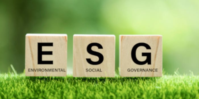 ESG - written with wooden cubes