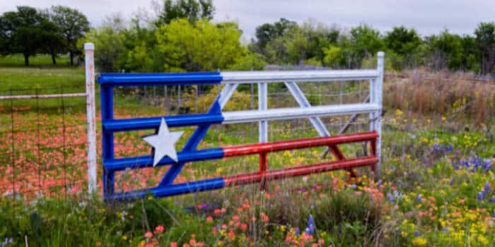 Metal gate painted to look like the flag of Texas