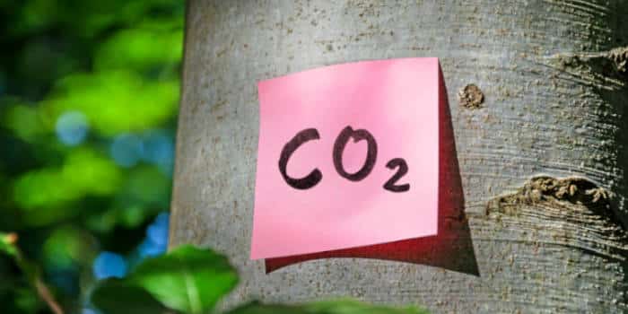 A CO2 sticky note placed on a tree