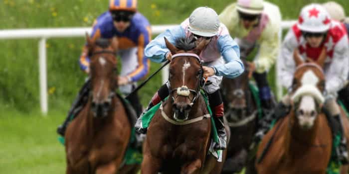 A bunch of jockeys in the middle of a horse race.