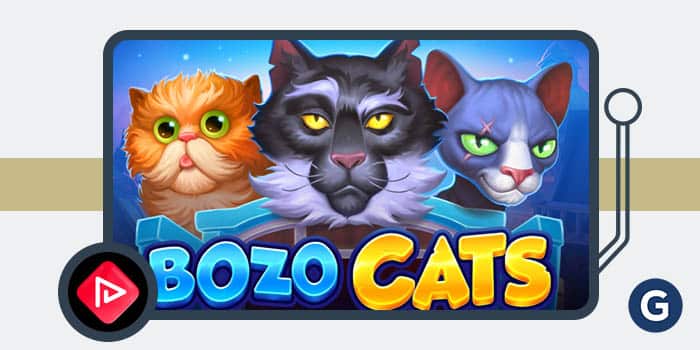 Playson Bozo Cats Slots Game