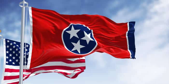 Tennessee state flag