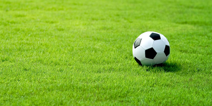 A soccer ball on the grass