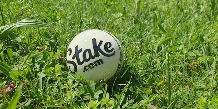 A Stake-branded cricket ball