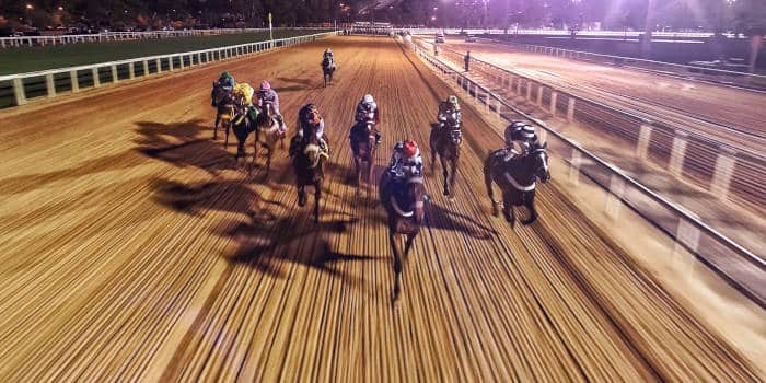 Racing horses in the track.