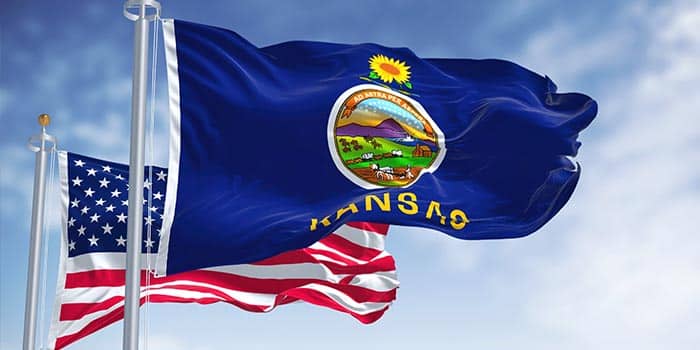 Kansas' official flag