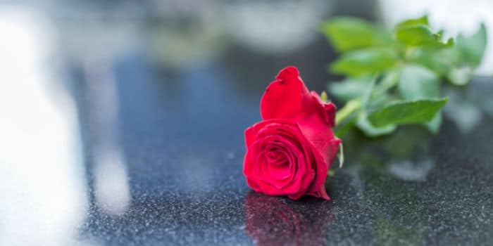 Red rose on a gravestone symbolizing passing away, mourning