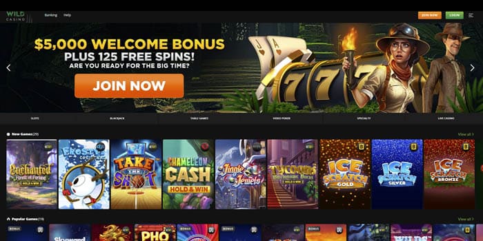 WildCasino's welcome screen for new players.