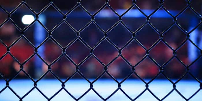 A cage in the UFC.