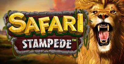 Safari Stampede slot featured image.