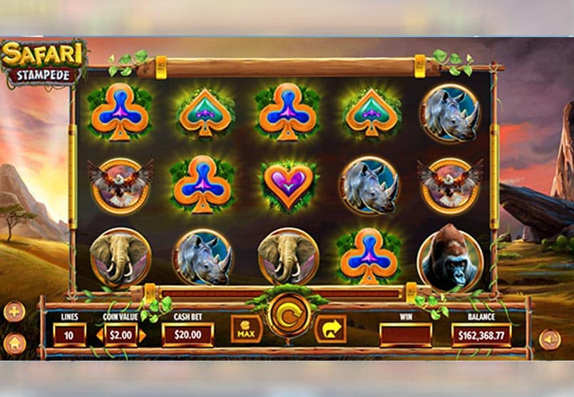 Safari Stampede slot gameplay.