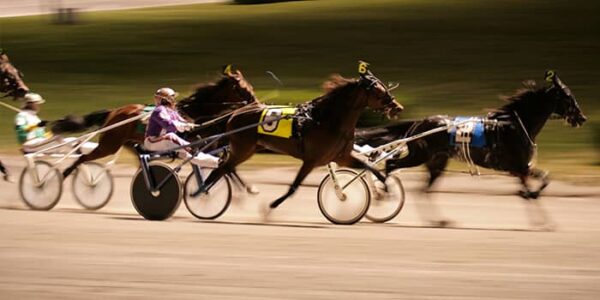 harness-race-in-progress-horse-racing-news