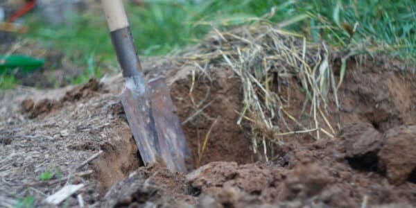 news-shallow-grave-and-a-shovel