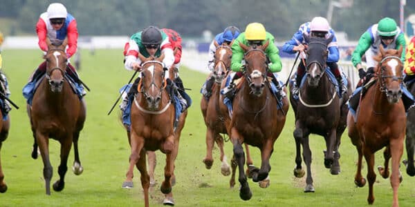 horse-race-jockeys-racing-news