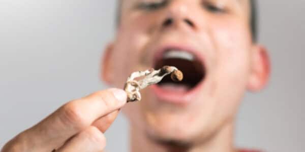 news-person-eating-magic-mushroom