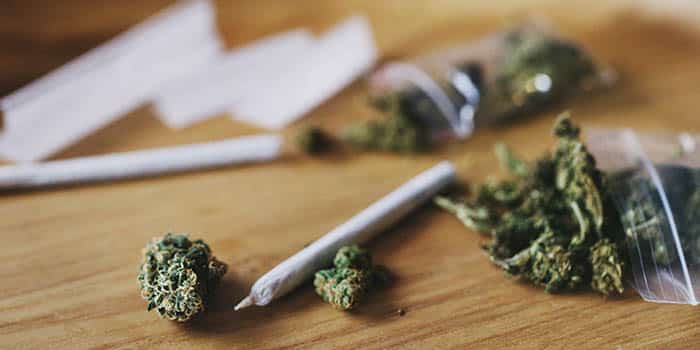 cannabis-marijuana-weed-pot-blunt-news