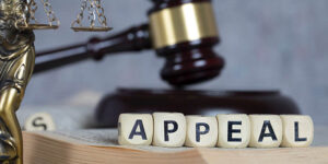 court-appeal-legal-news